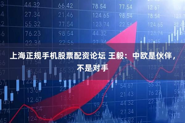 上海正规手机股票配资论坛 王毅：中欧是伙伴，不是对手